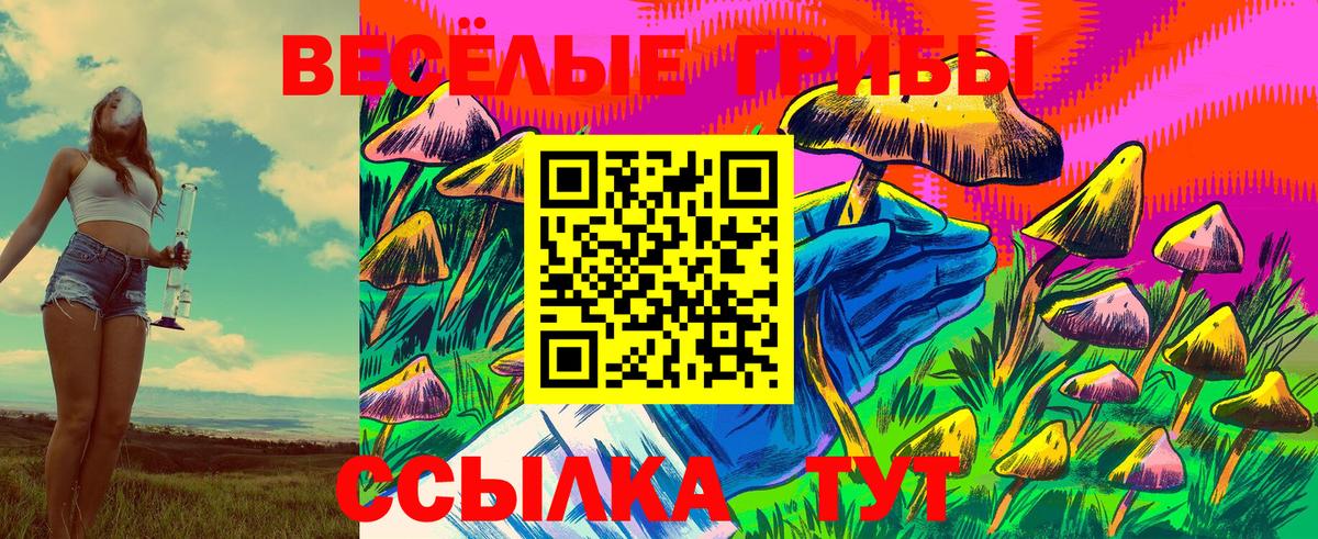 Псилоцибиновые грибы мицелий Новокуйбышевск